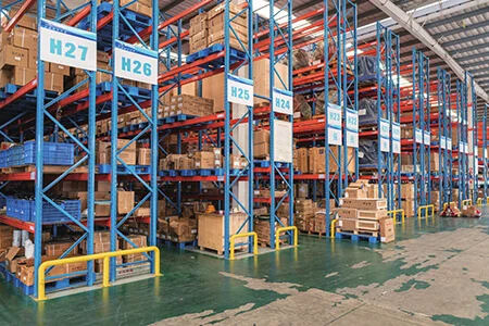 Plastic pallets for Warehouse